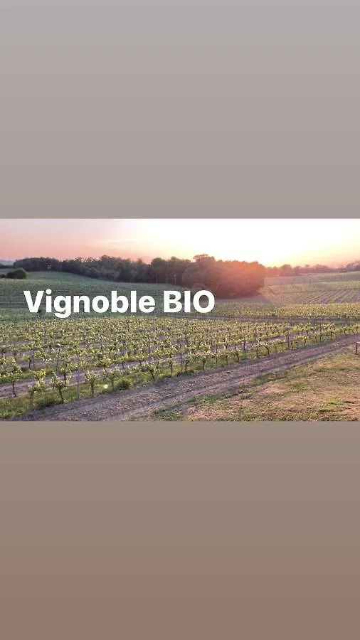 Gite Les Vignes Cravenceres Holiday home